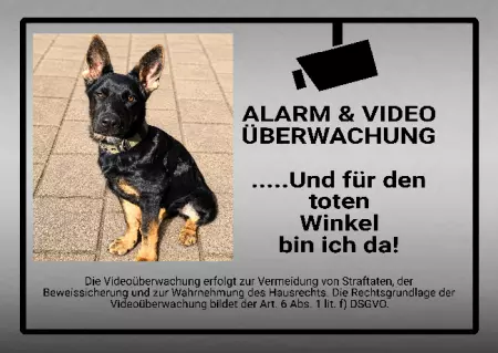  Hinweis Alarm & Videoüberwachung Bild
