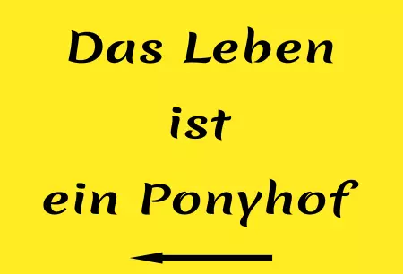 Hinweis Das Leben ist ein Ponyhof Bild