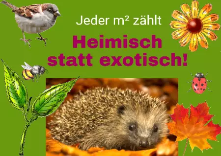 Hinweis Jeder m² zählt Bild