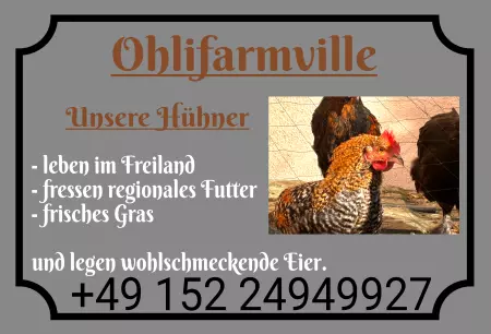 Hinweis Ohlifarmville Bild